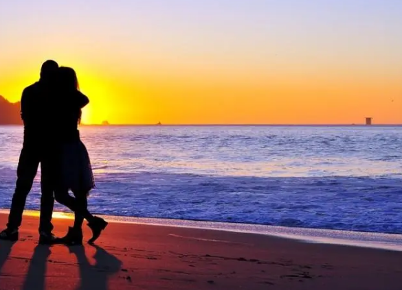 上海后花园花桥离土拍不远了