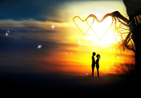 上海松木桑拿板批发厂家地址电话