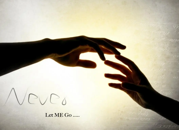 上海小型家用桑拿房多少钱一天 上海小型家用桑拿房多少钱一天